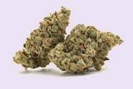 BTY OG & Blackwater OG