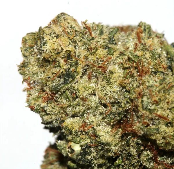 BTY OG - Image 11
