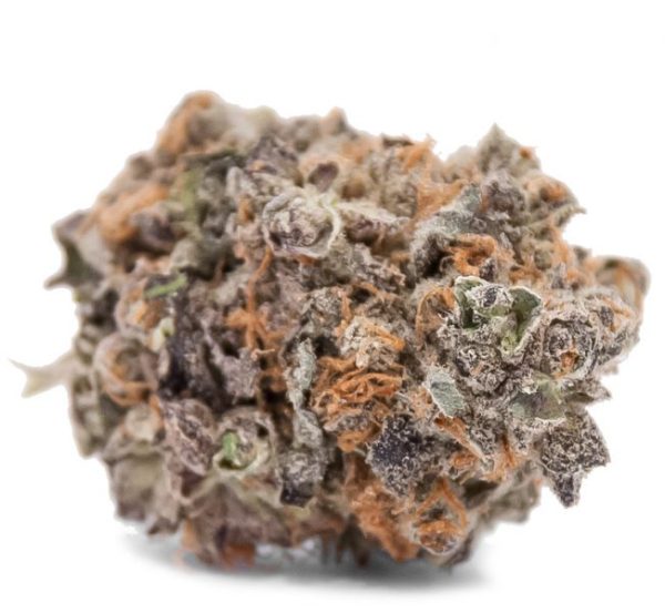 Blackwater-OG