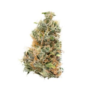 Blue-Dream
