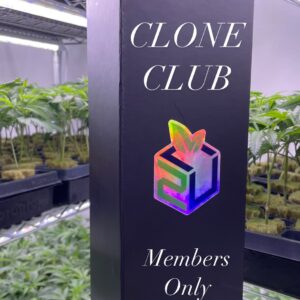 CLONE CLUB
