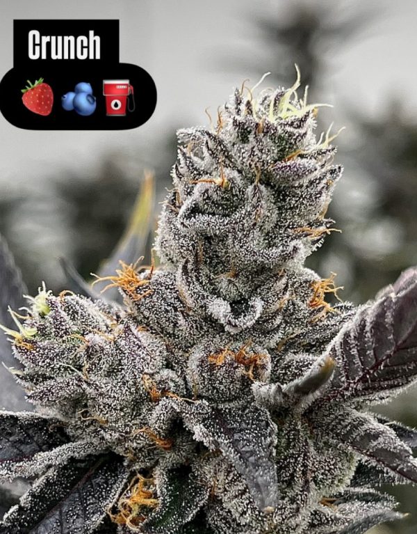 Crunch Berriez - Image 5
