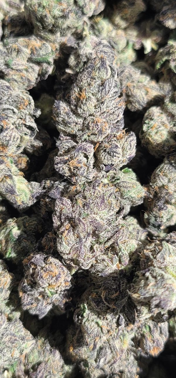 Lemon Cherry Gelato - Image 11