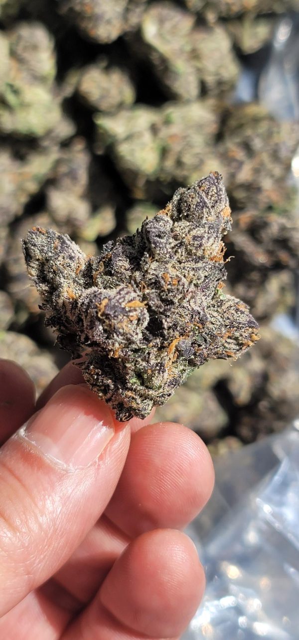 Lemon Cherry Gelato - Image 9