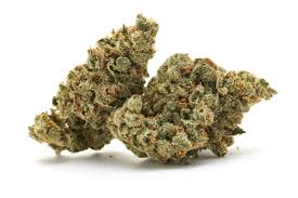 Oaksterdamn-OG