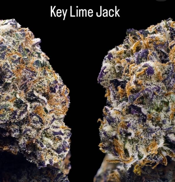 Keylime Jack - Image 4