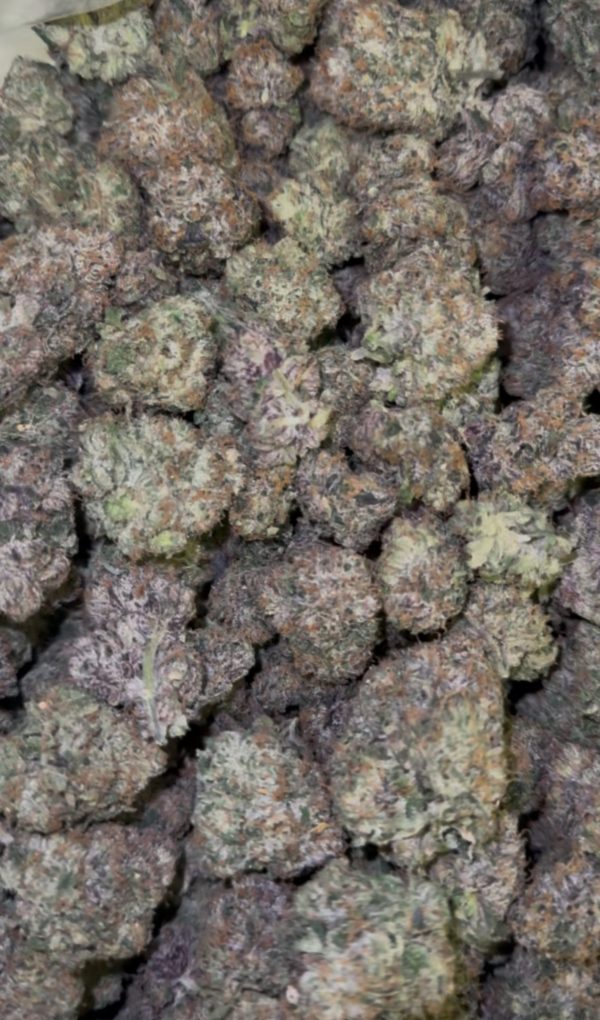 Super Lemon Cherry Gelato - Image 2
