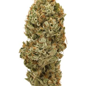 BTY OG, Legend OG,  Motorbreath OG, Ghost OG, & Blackwater OG