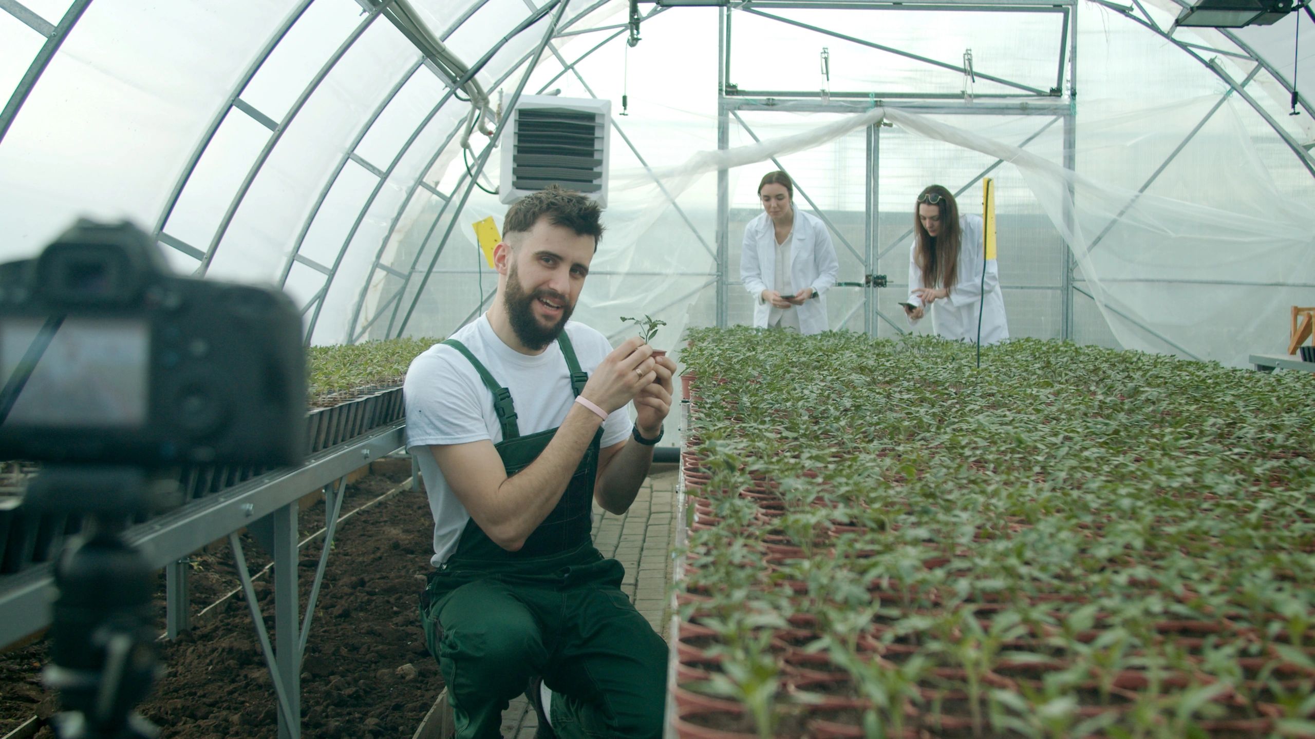 Greenhouse professional reviewing young plants
