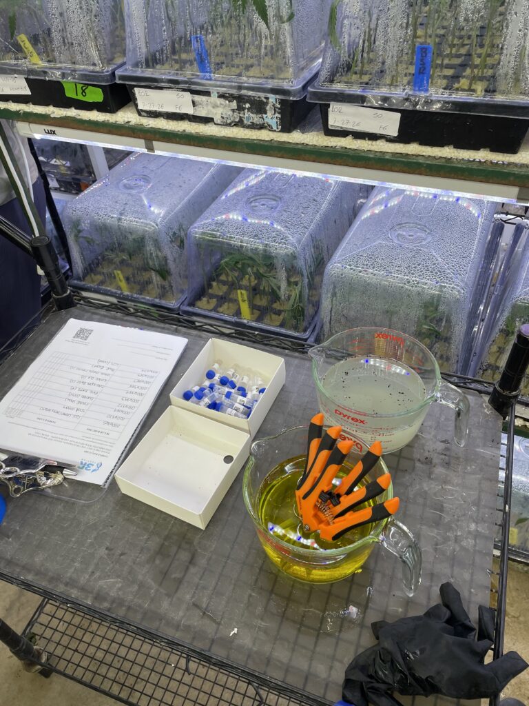 141d3347 4715 4c0e b2d9 05712b71ca89