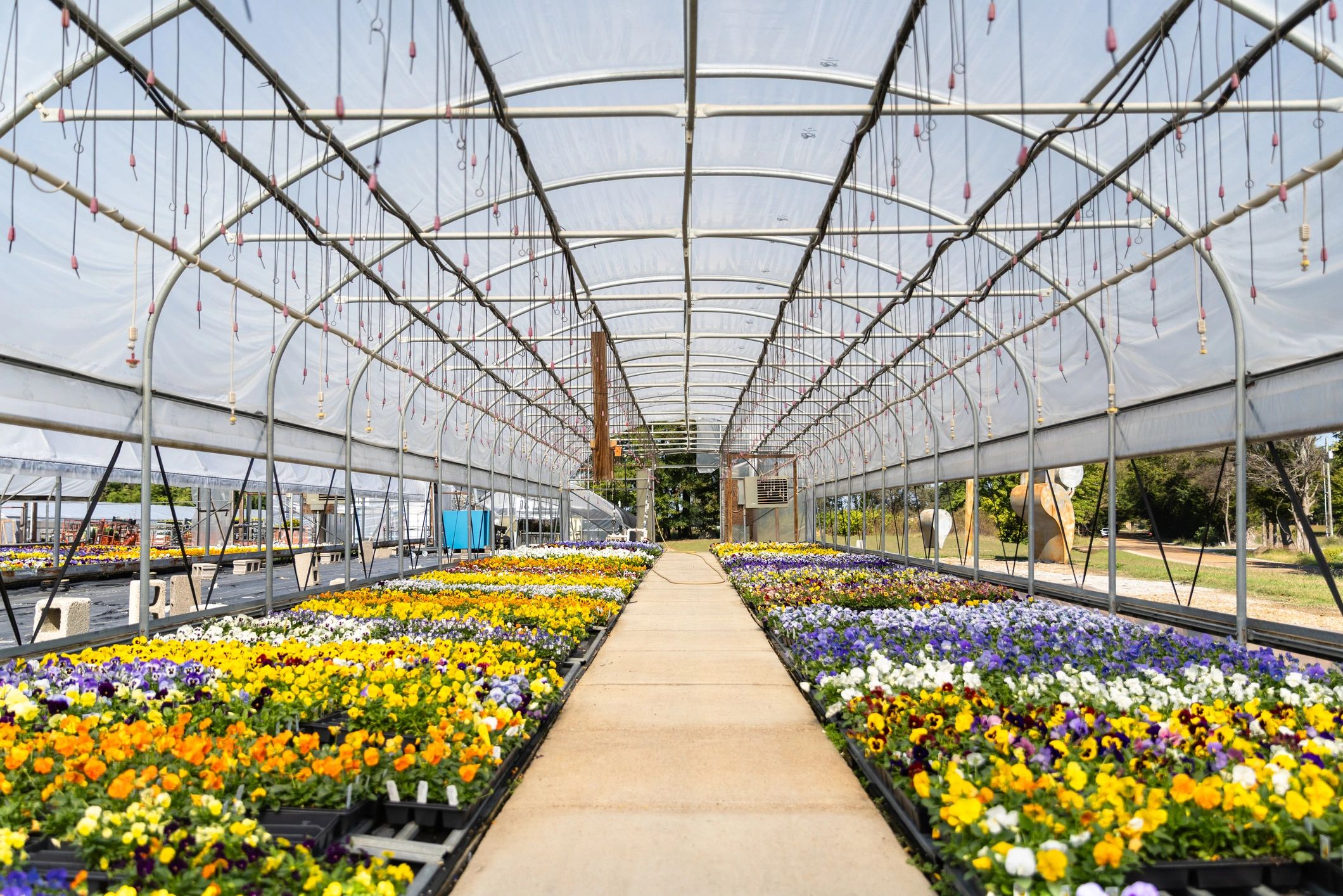 Commercial nursery growing environment